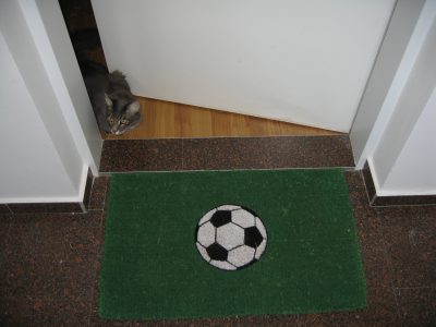 Grüne Türmatte mit Fußballabbildung, am Rand ist Katze Java zu sehen