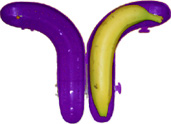 protect your banana